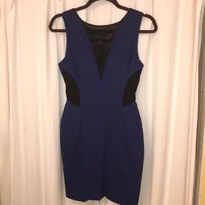 Arc & Co cobalt blue bodycon dress